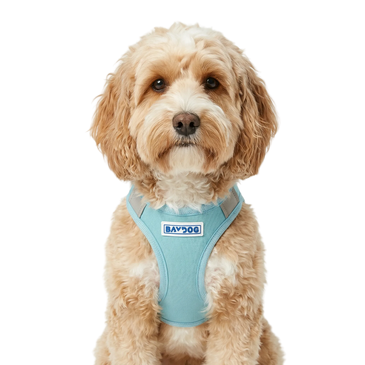 Liberty Bay Dog Harness
