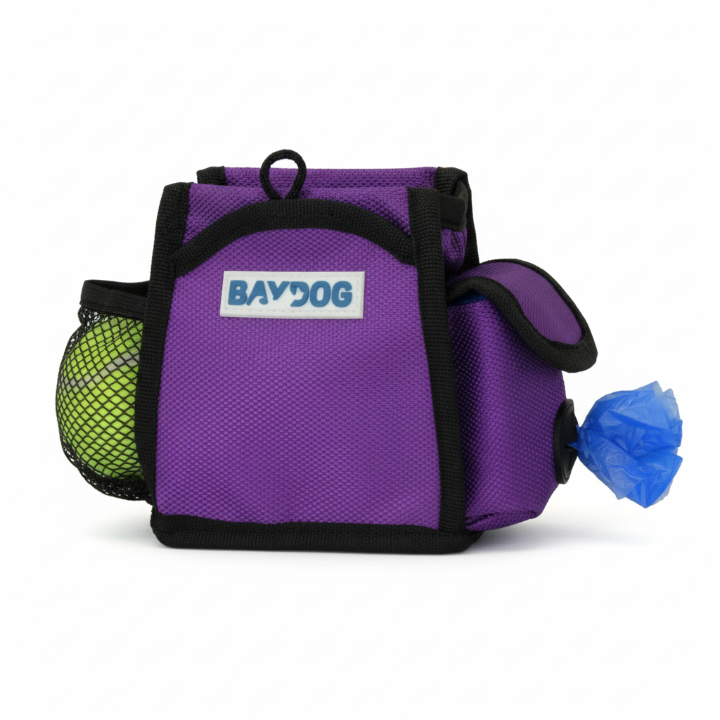 Pack-N-Go Bag