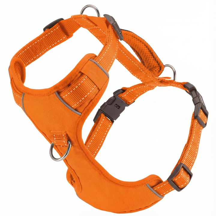 Chesapeake Bay Dog Harness