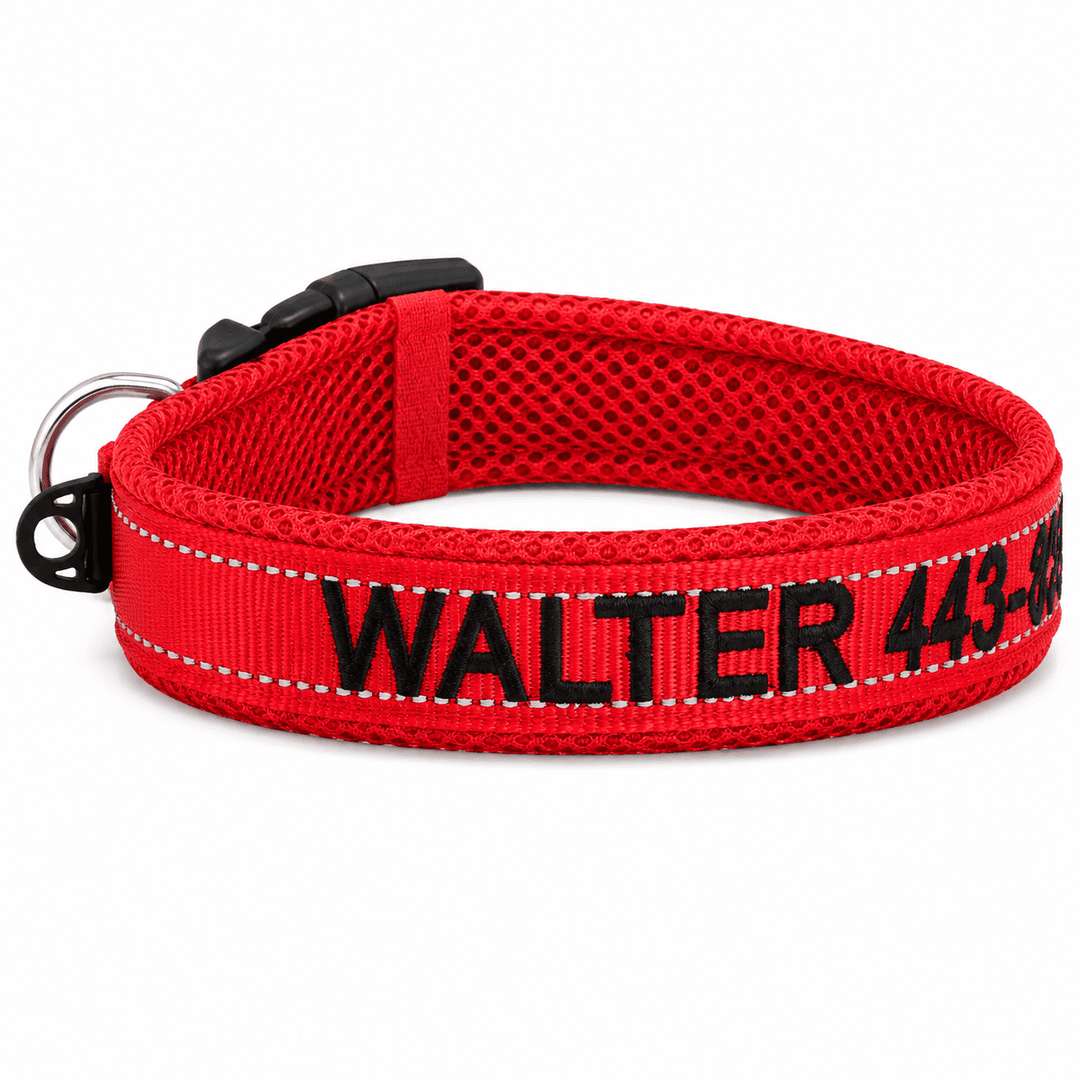 Embroidered Dog Collar