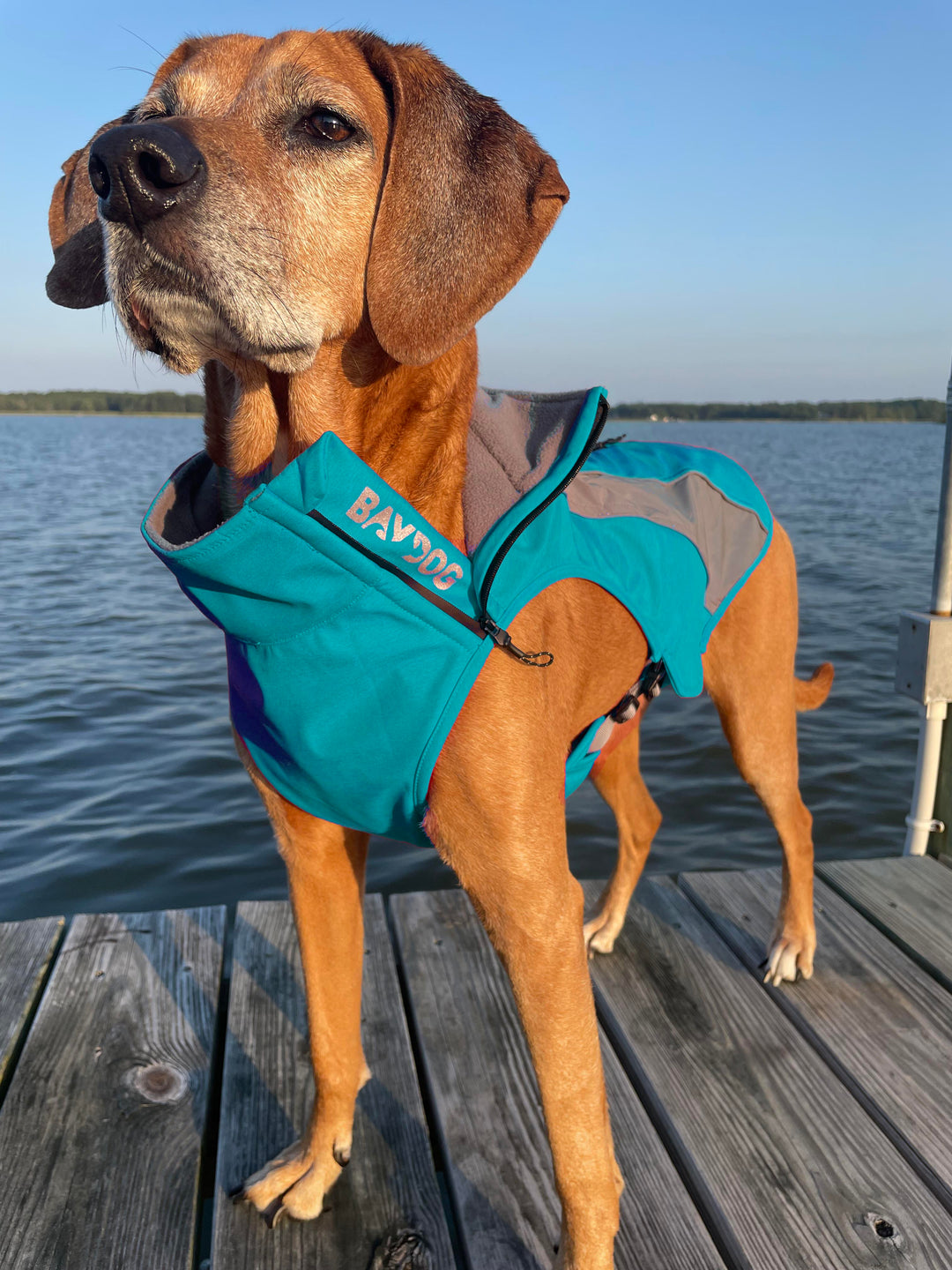 Saginaw Bay Dog Fleece 2.0