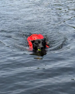 Monterey Bay LifeJacket OffShore