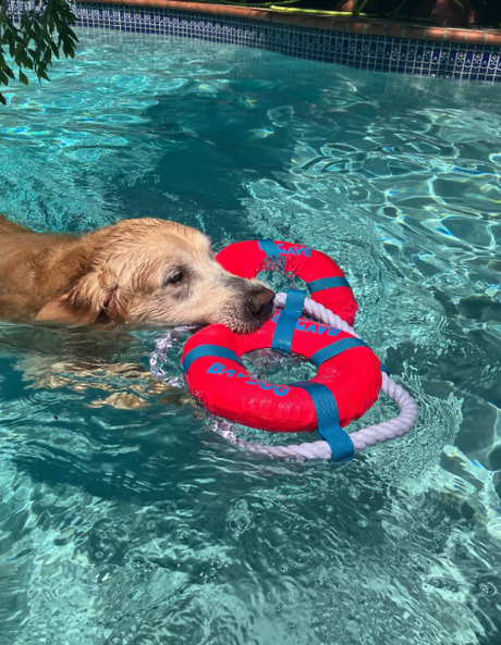 Fetch Ring