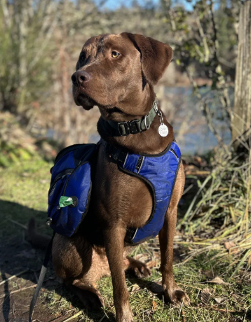 Saranac Pack