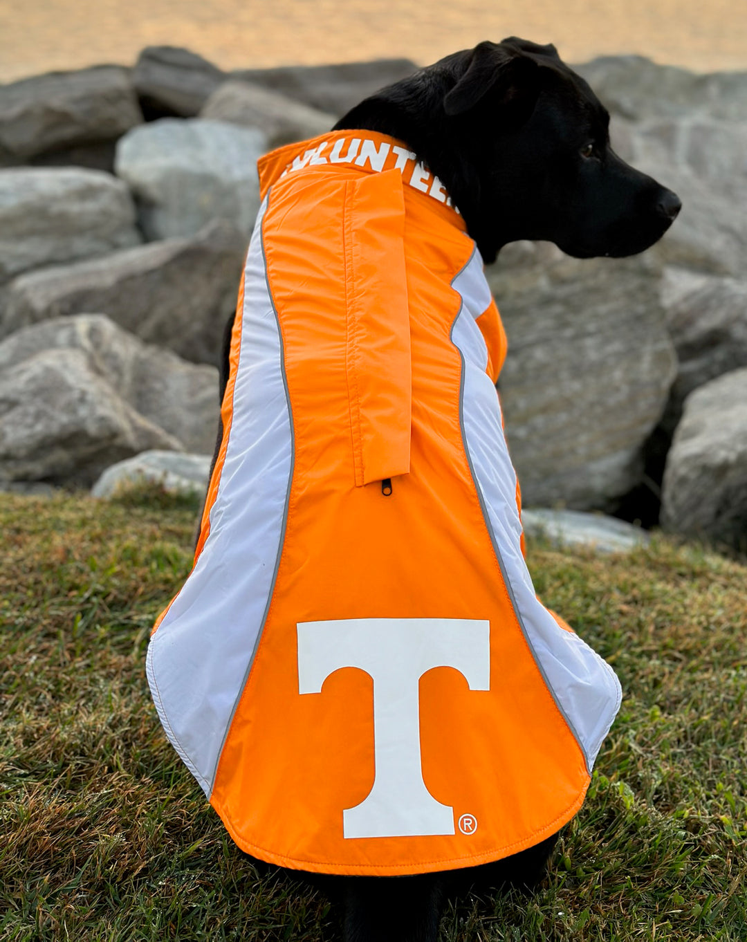 Tennessee Volunteers Dog Fleece