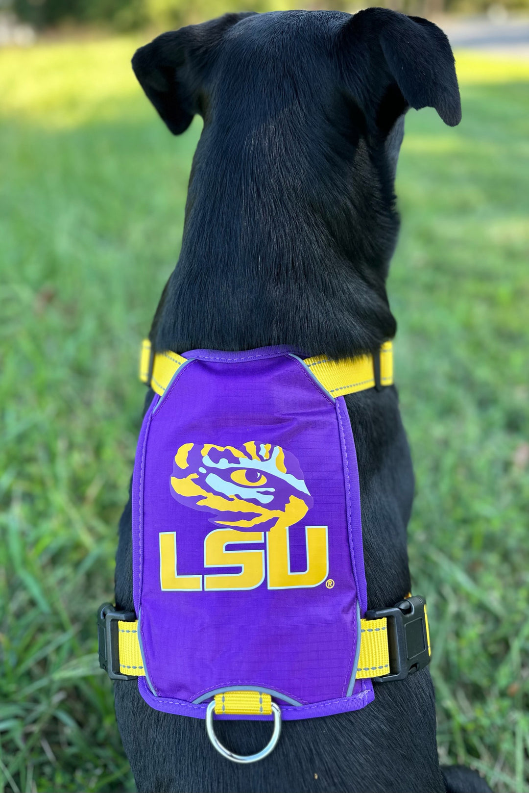 LSU Tigers Dog Harness