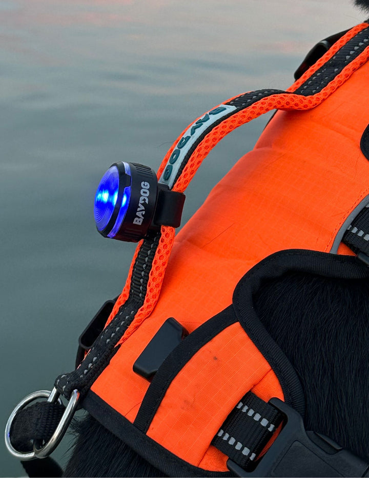 Firefly LED Safety Light