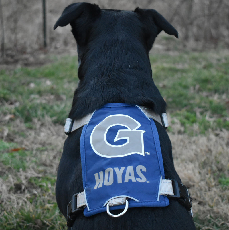 Georgetown