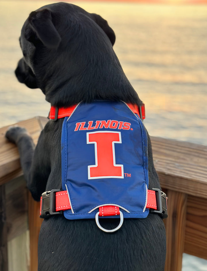 Illinois Fighting Illini Dog Harness