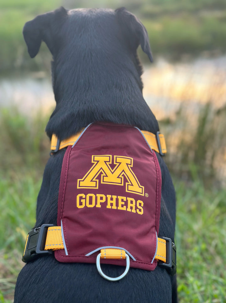 Minnesota Gophers Dog Harness
