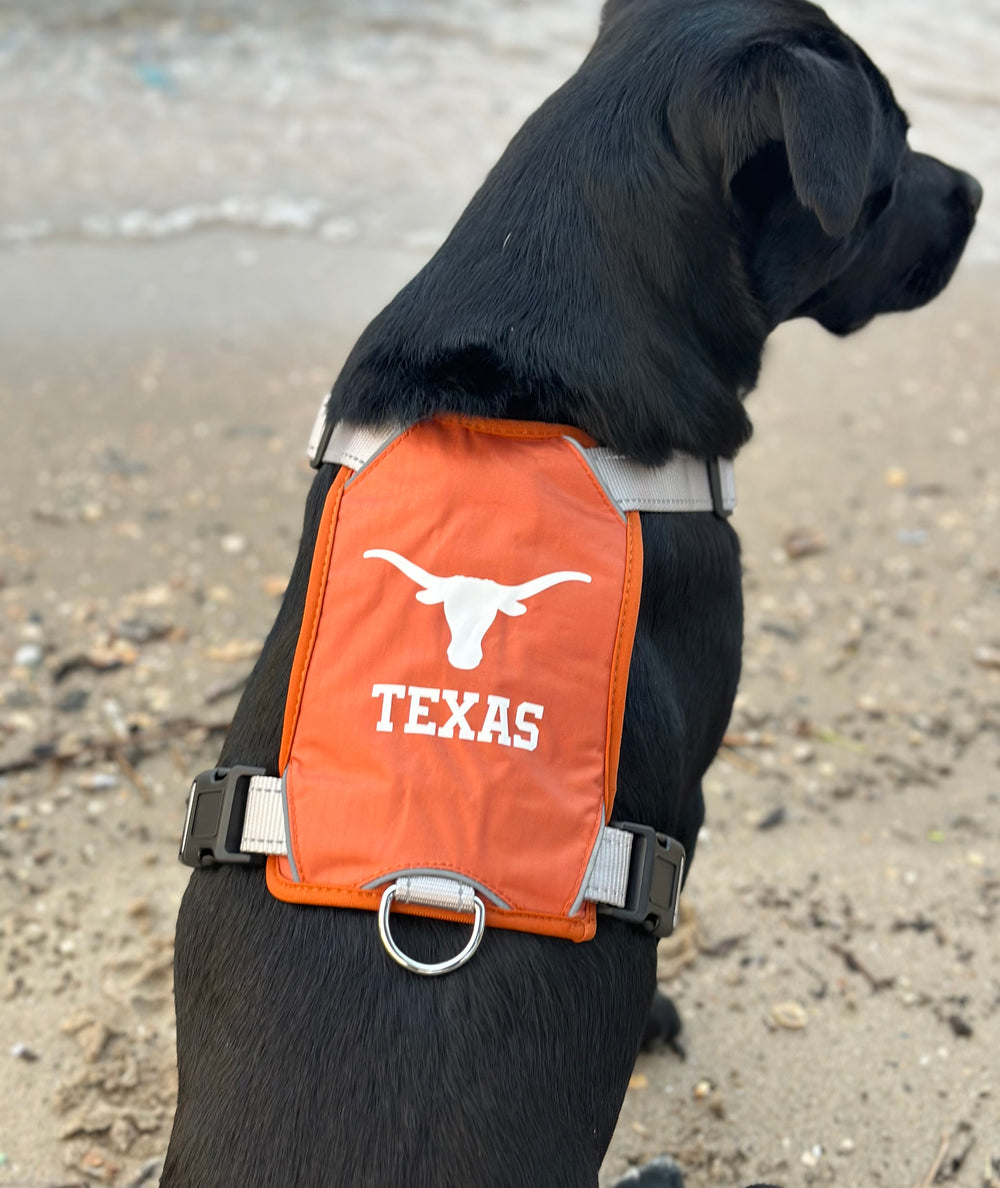 Texas Longhorns Dog Harness