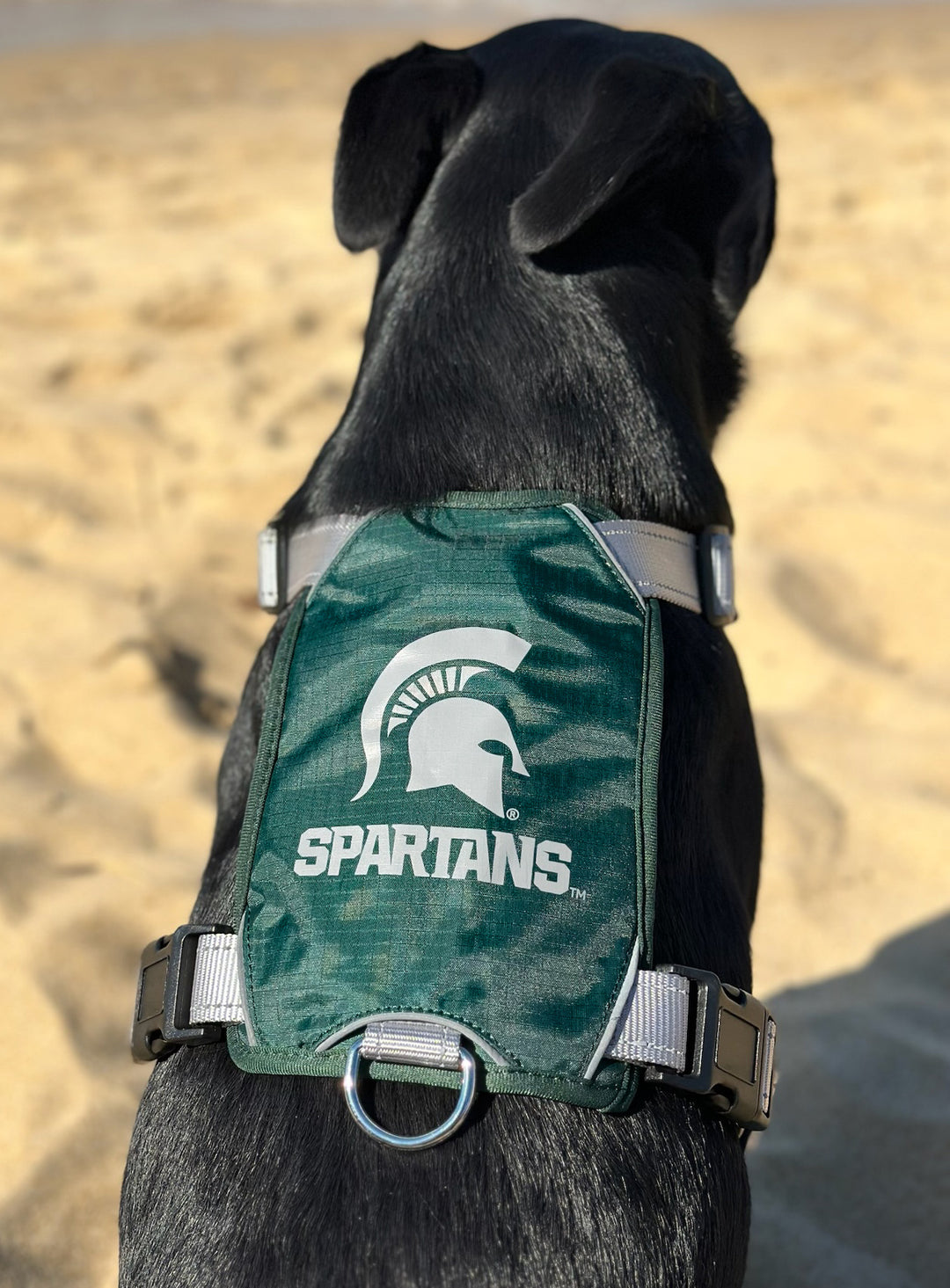 Michigan State Dog Harness