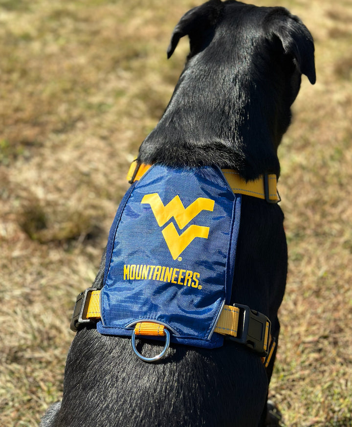West Virginia Mountaineers Dog Harness
