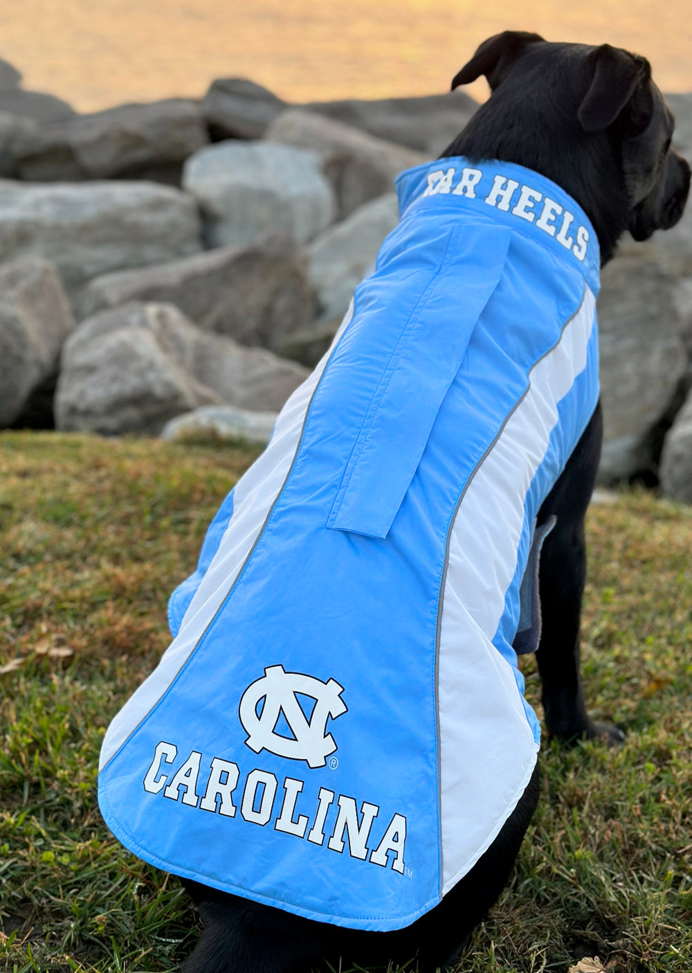 North Carolina Tar Heels Dog Fleece
