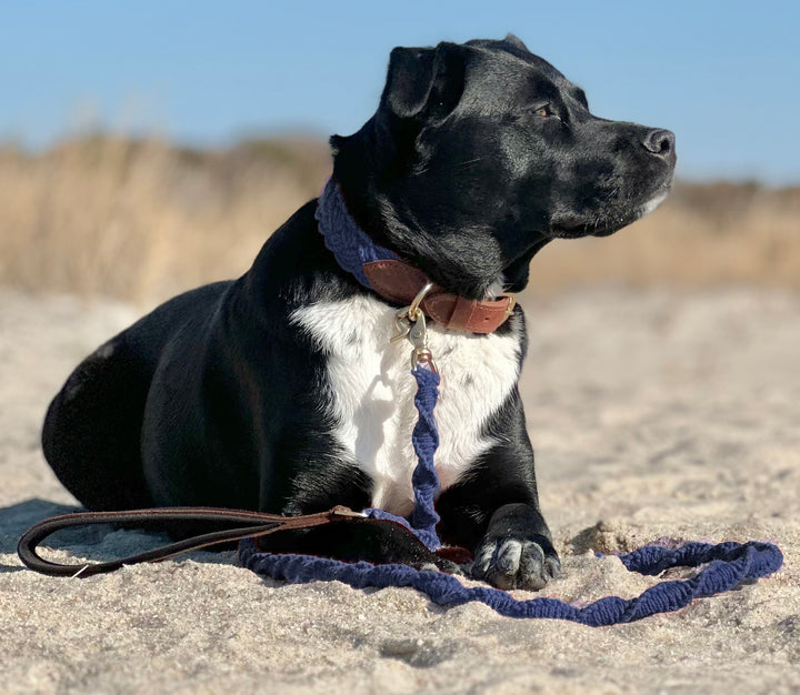 Seaside Leash