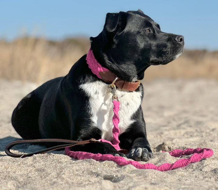 Seaside Leash