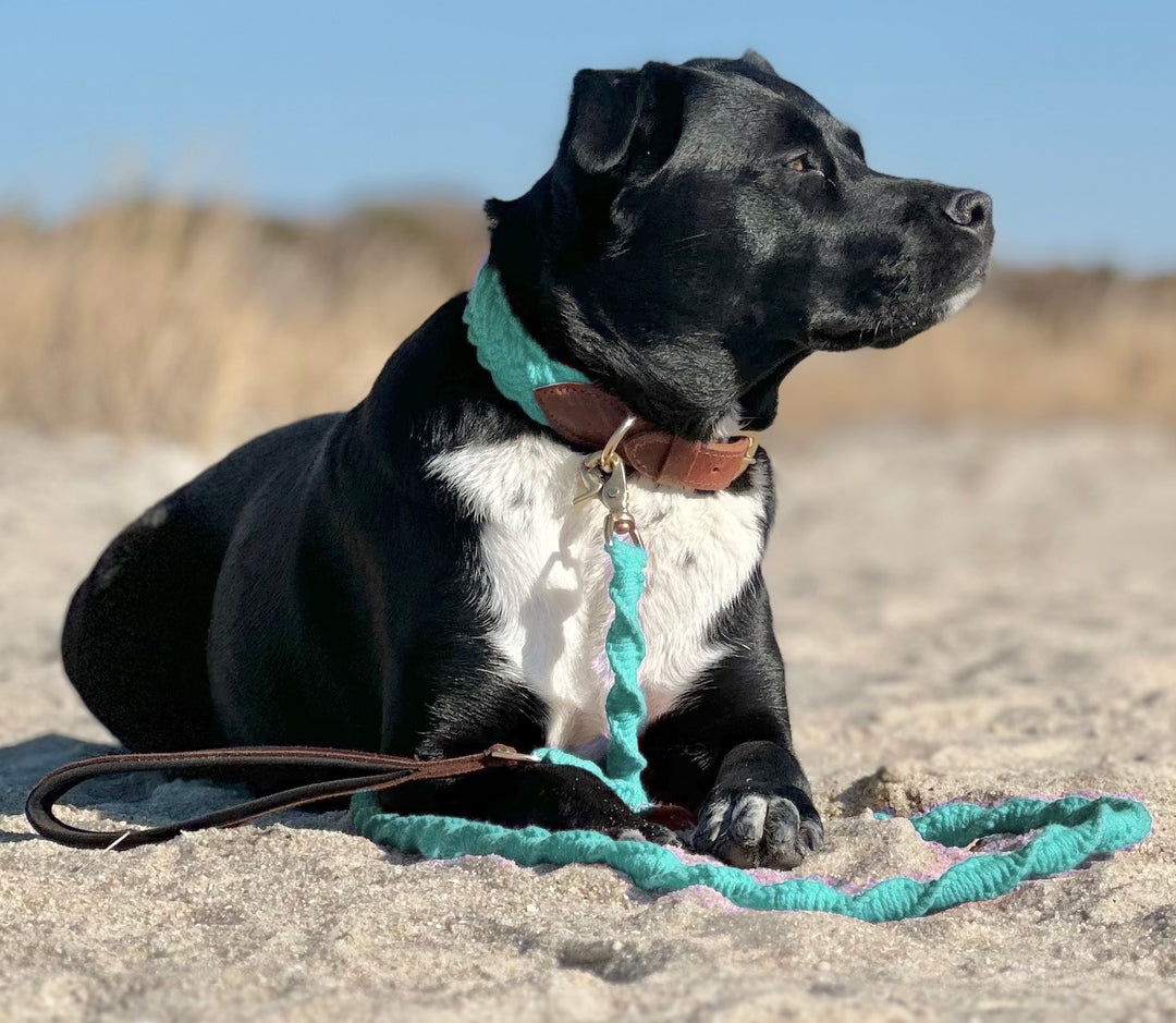 Seaside Leash