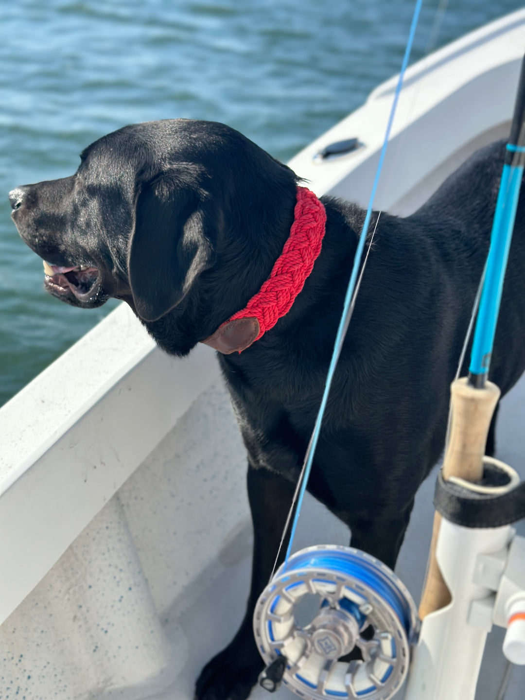 Seaside Collar