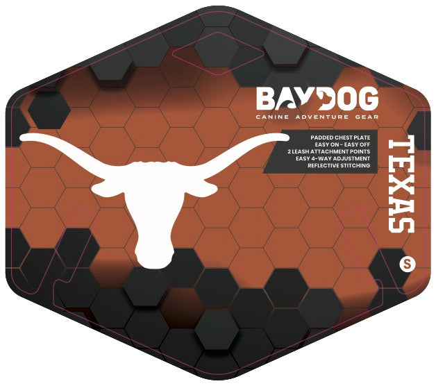 Longhorn 2024 dog collar