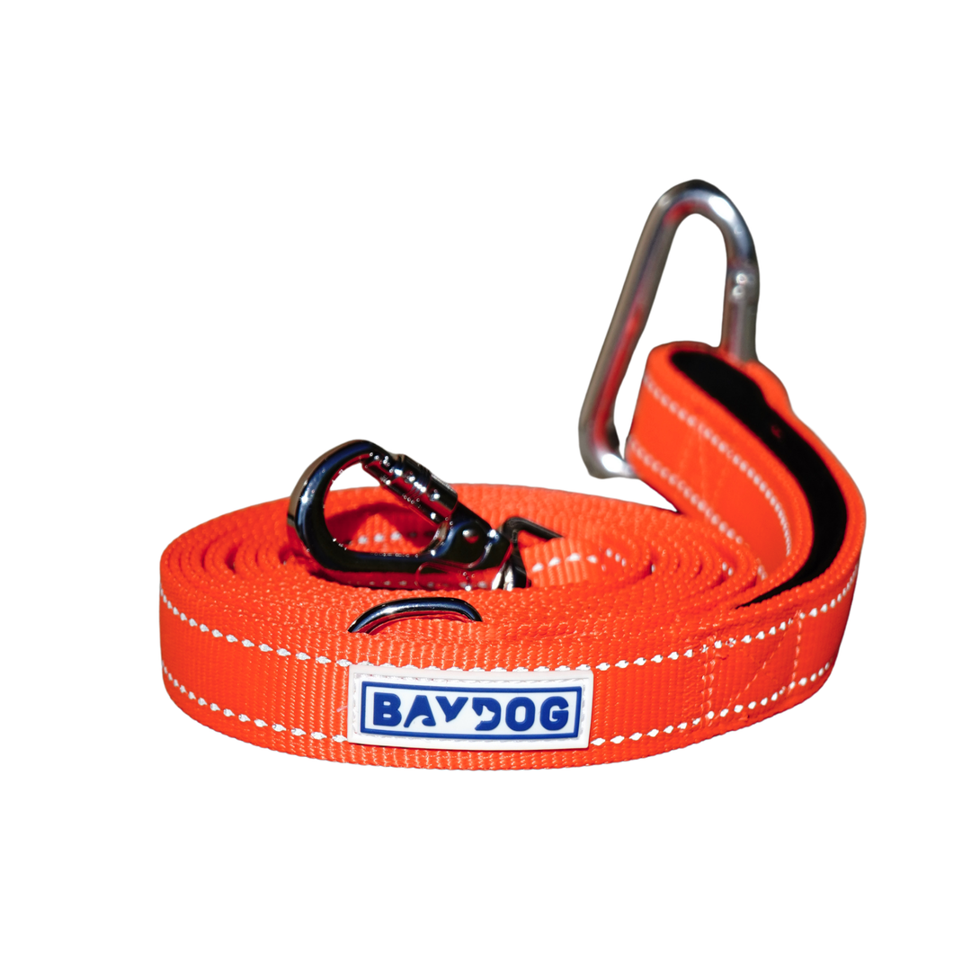 Hudson Bay Dog Leash