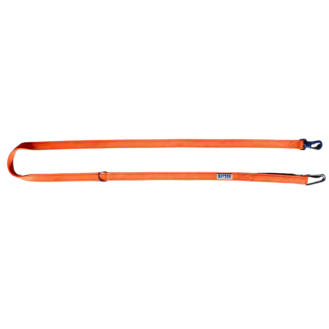 Hudson Bay Dog Leash