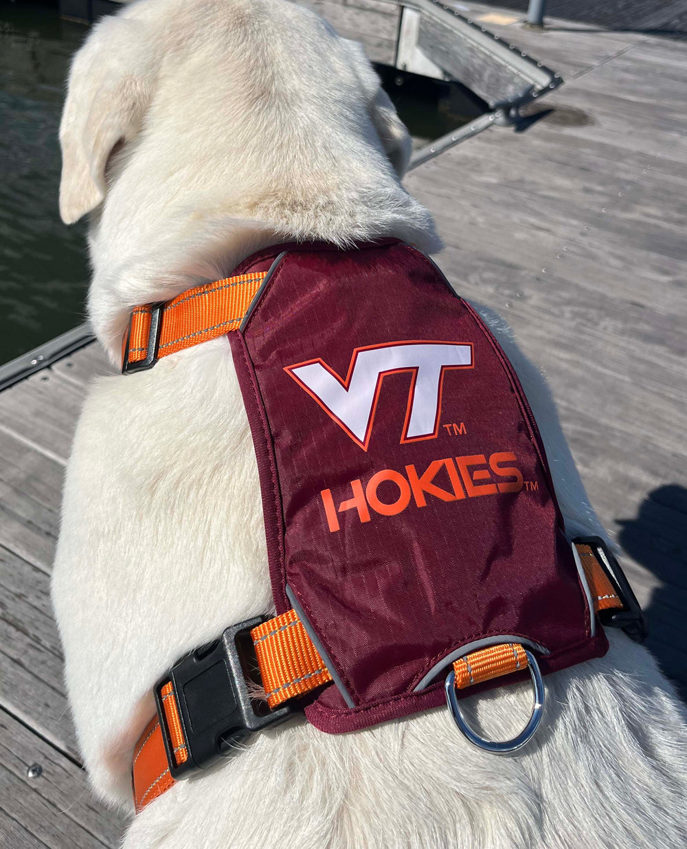 Virginia Tech Hokies Dog Harness