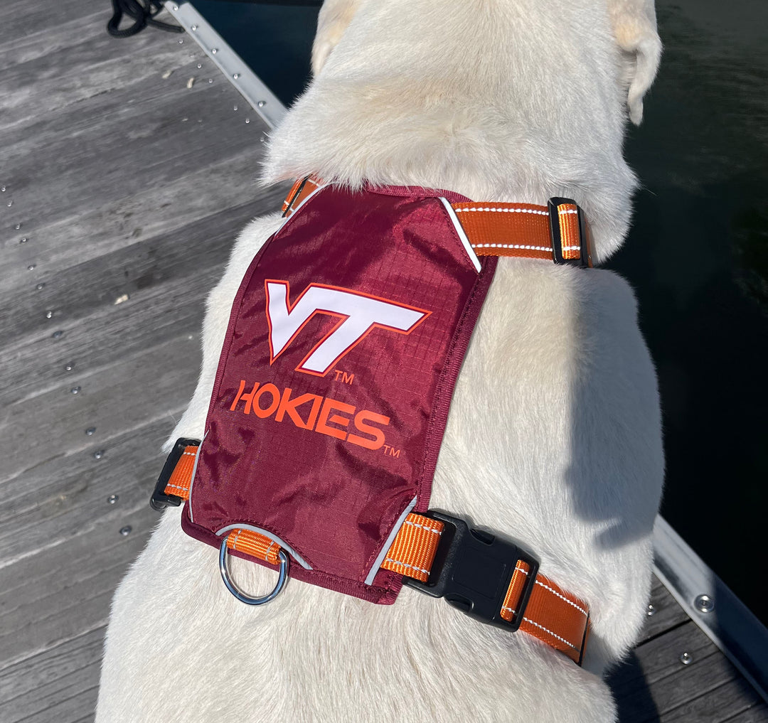  NCAA Virginia Cavaliers Dog Collar (Team Color