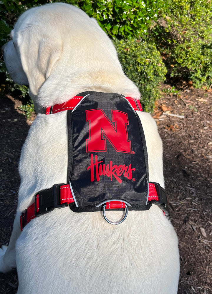 Nebraska Cornhuskers Dog Harness
