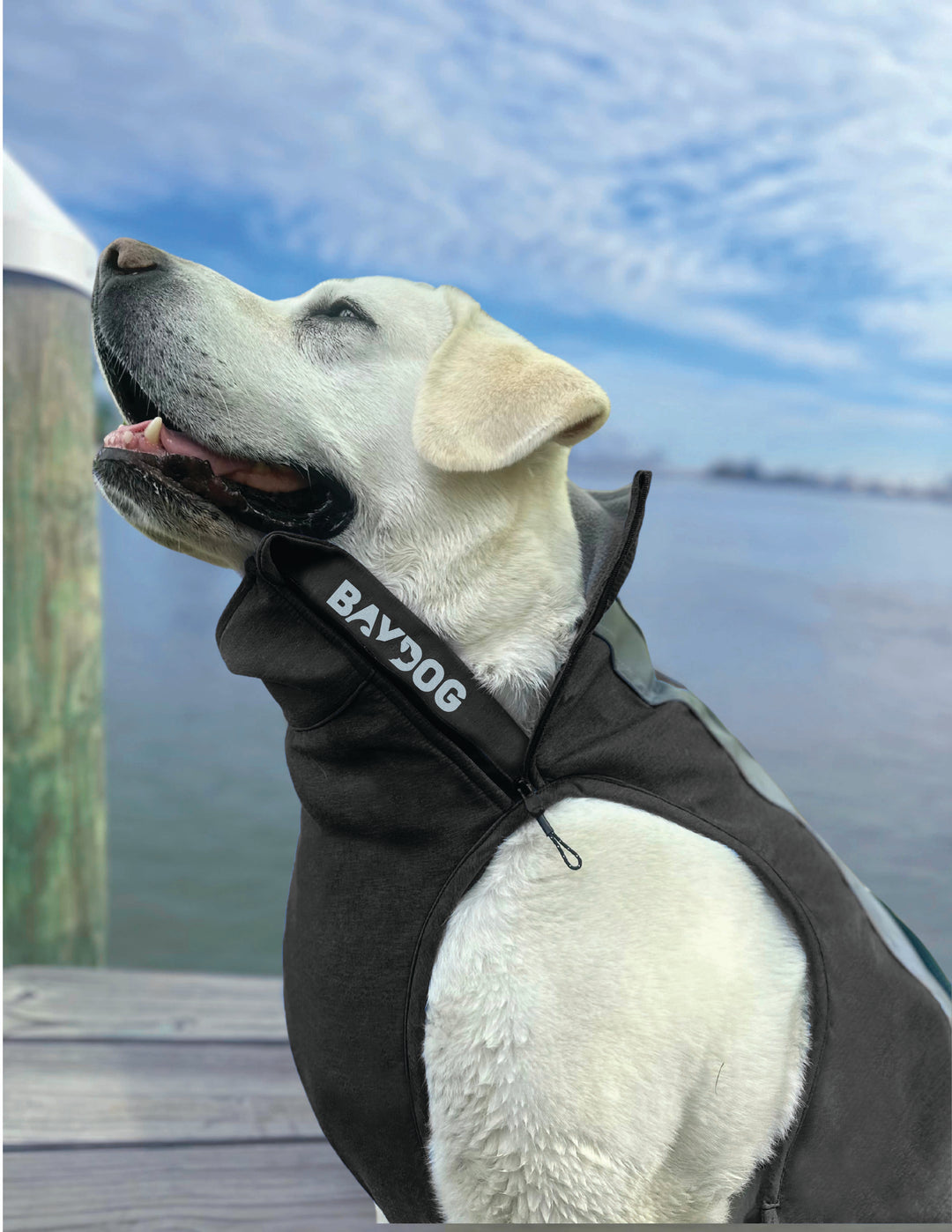 Saginaw Bay Dog Fleece 2.0