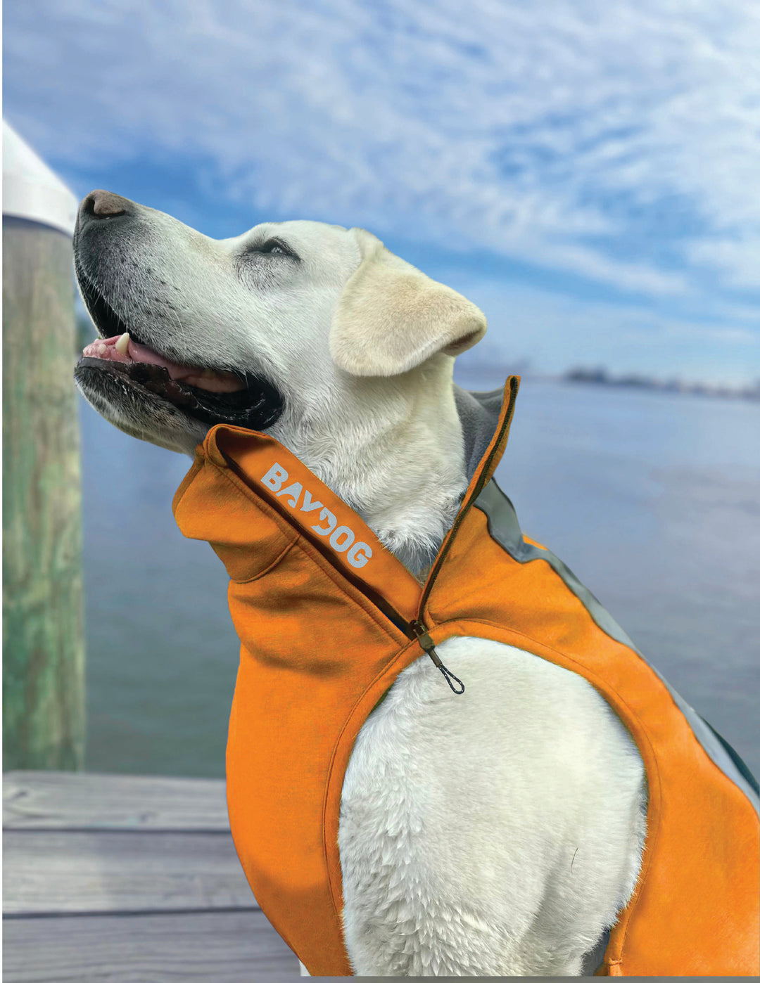 Saginaw Bay Dog Fleece 2.0