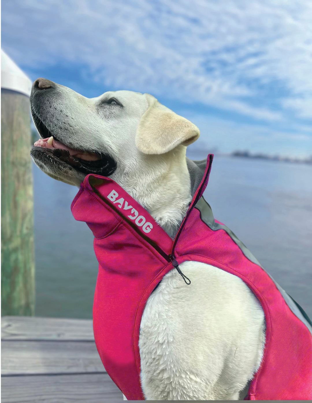 dog gear fleece Saginaw Bay Dog Fleece 2.0 – BAYDOG
