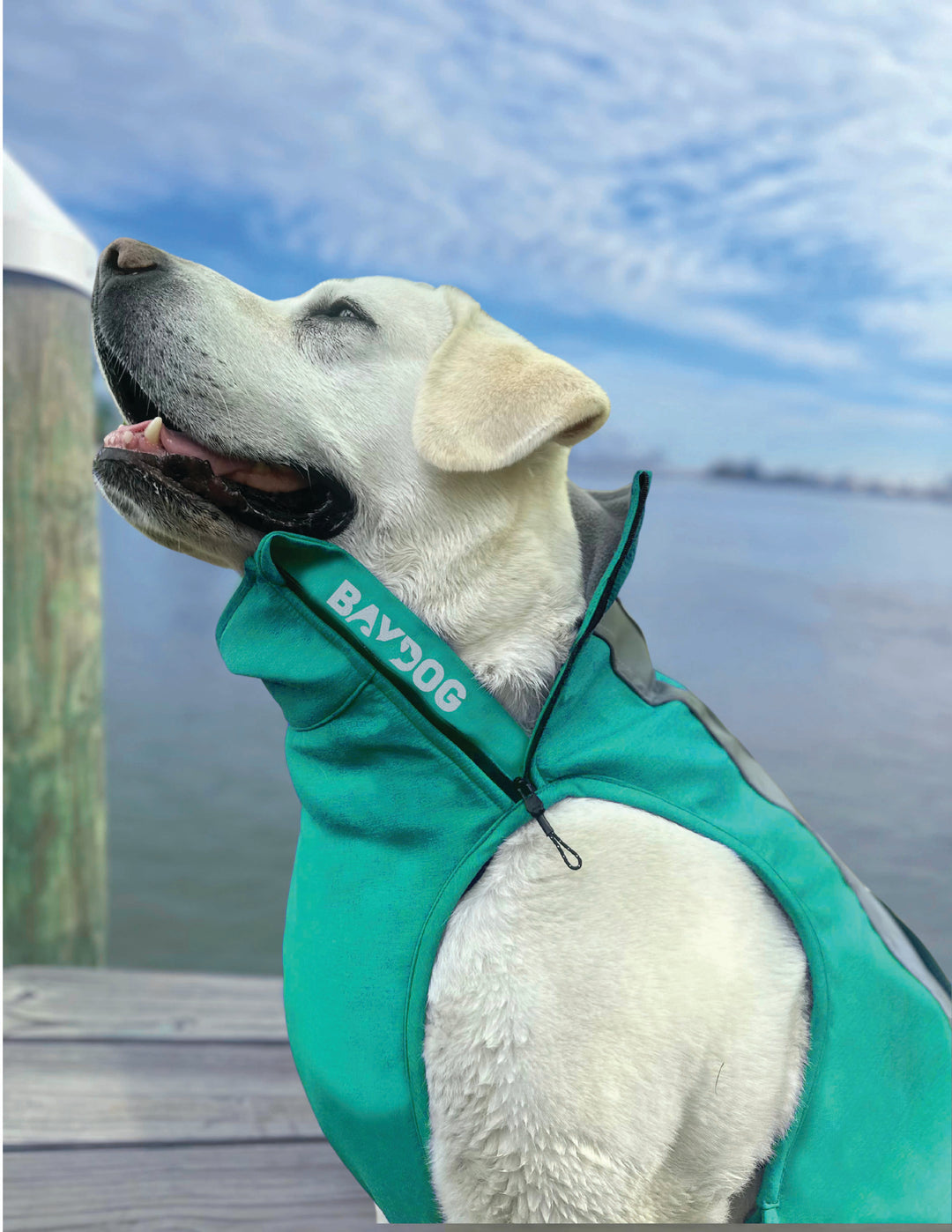Saginaw Bay Dog Fleece 2.0