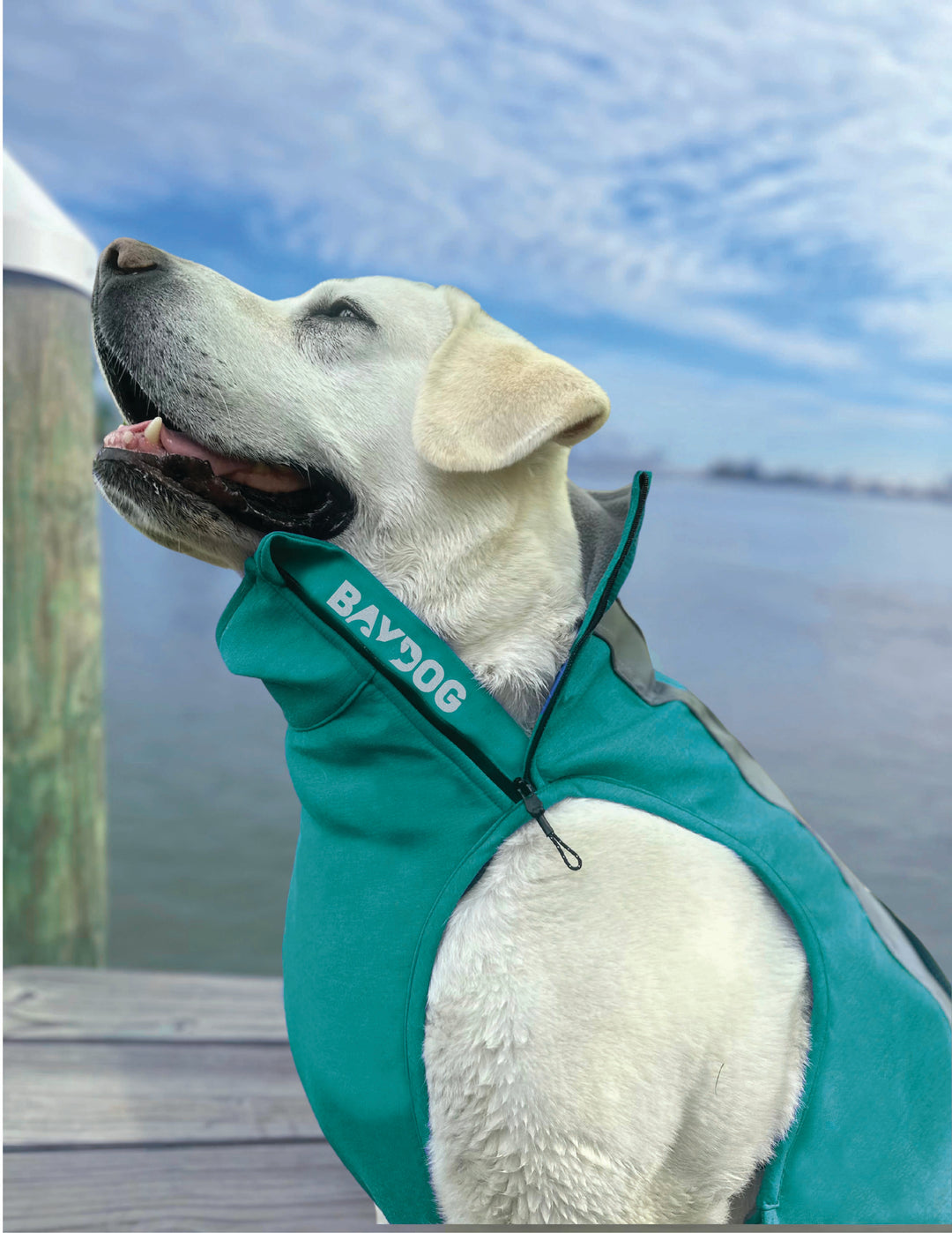 Saginaw Bay Dog Fleece 2.0