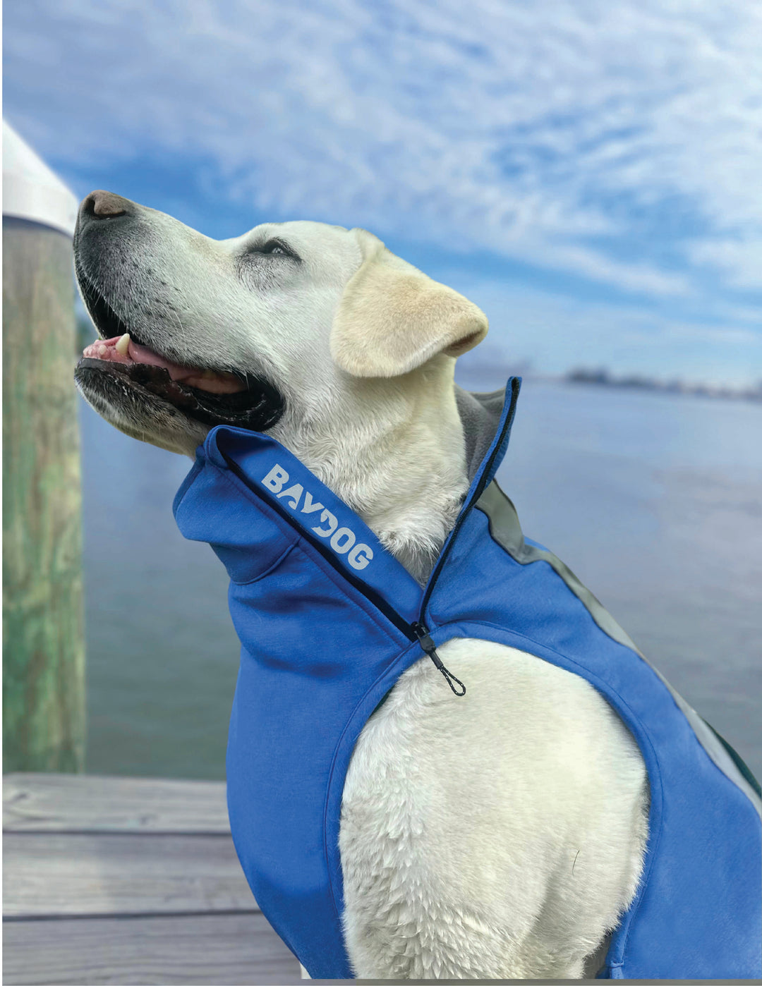 Saginaw Bay Dog Fleece 2.0