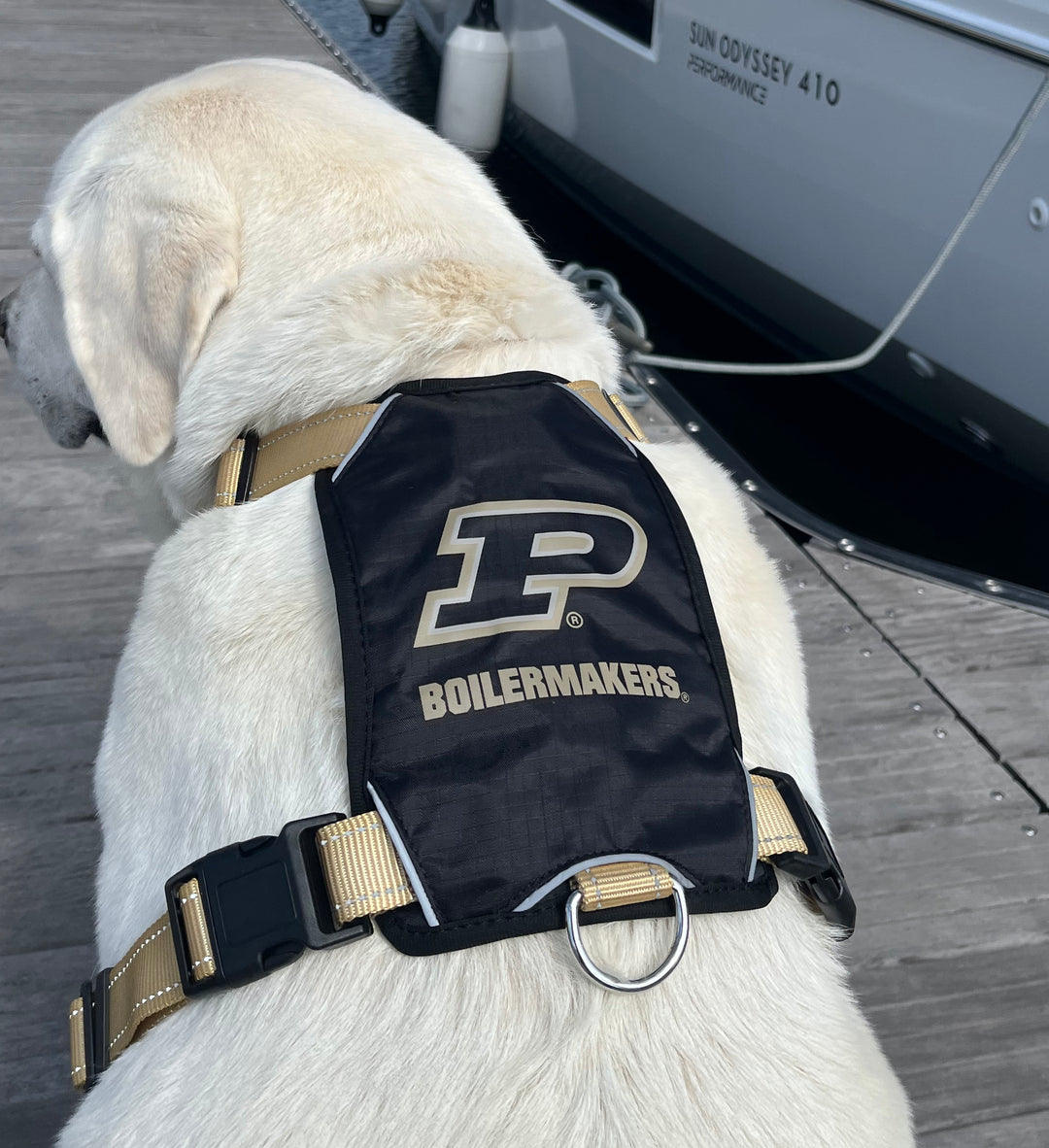 Purdue Boilermakers Dog Harness