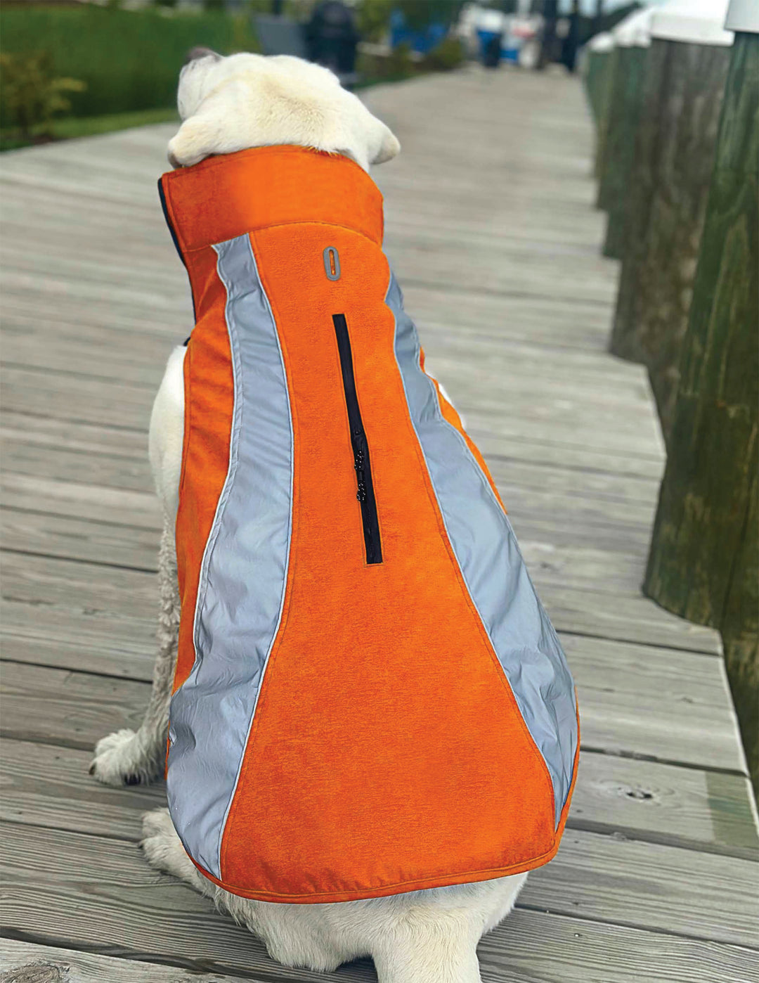 Saginaw Bay Dog Fleece 2.0