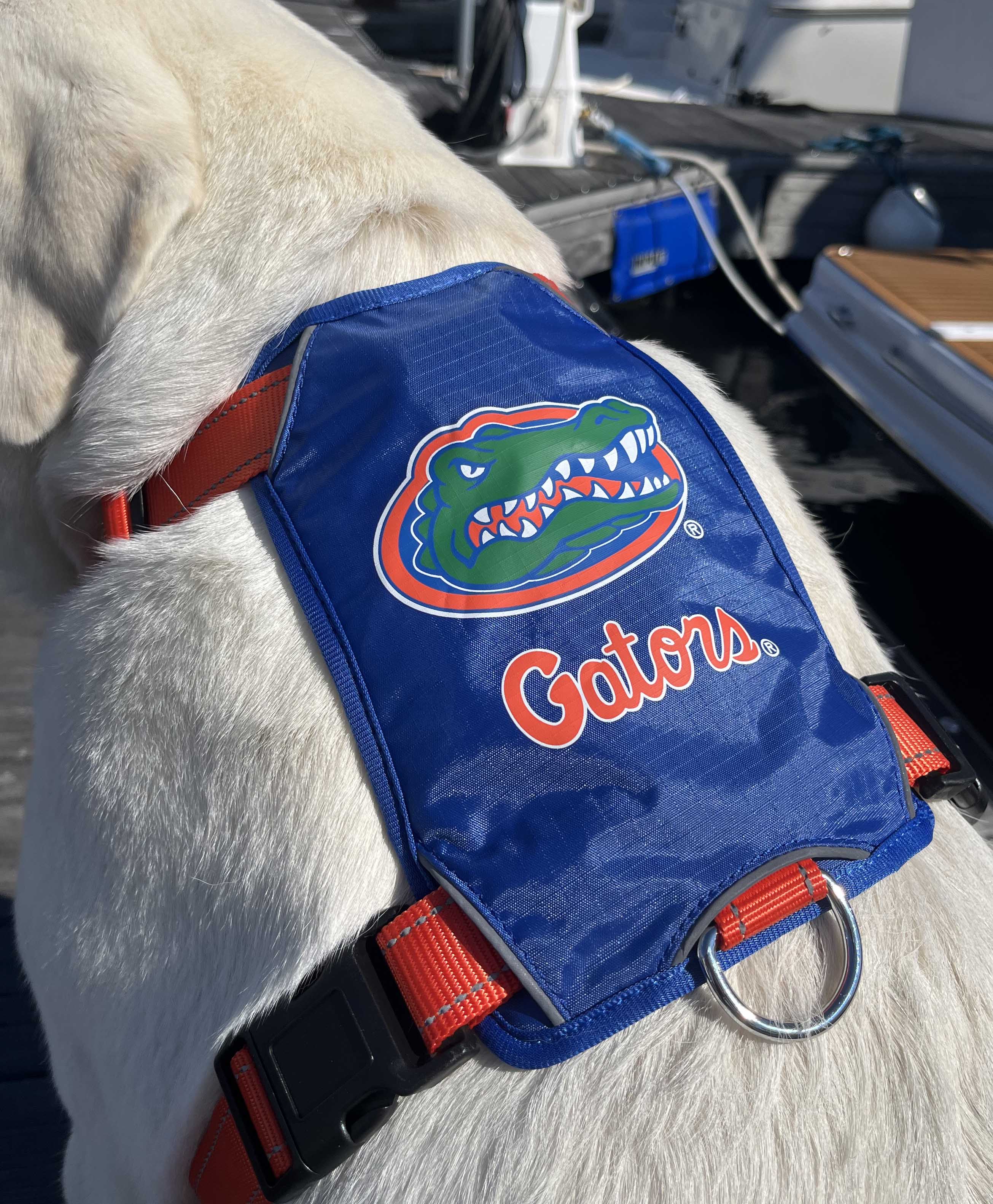 Florida gators cheap dog harness