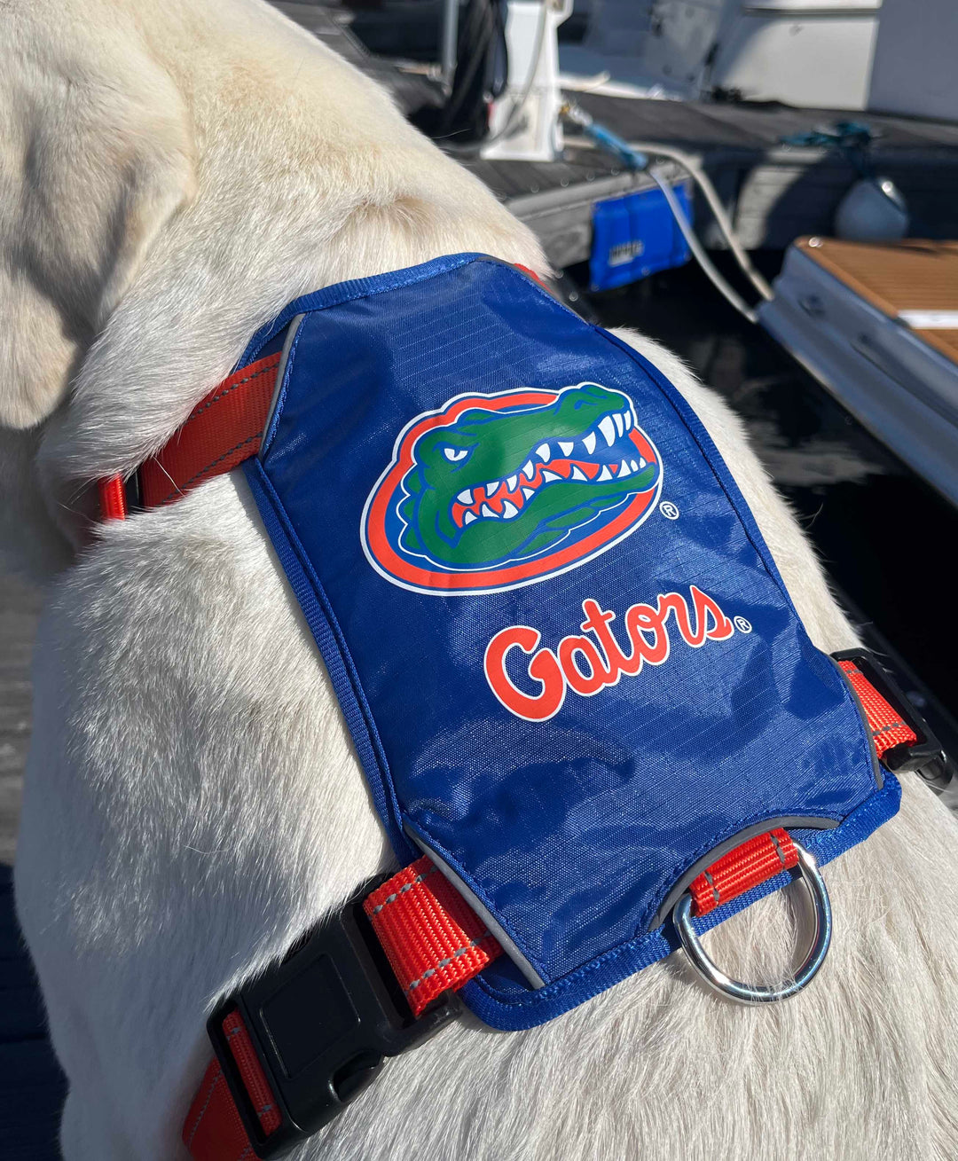 Florida Gators Dog Harness