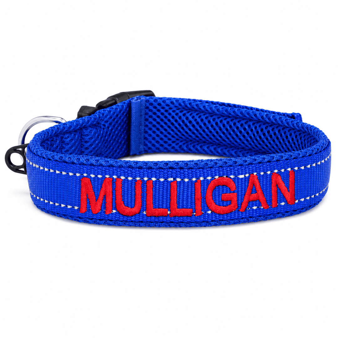 Embroidered Dog Collar