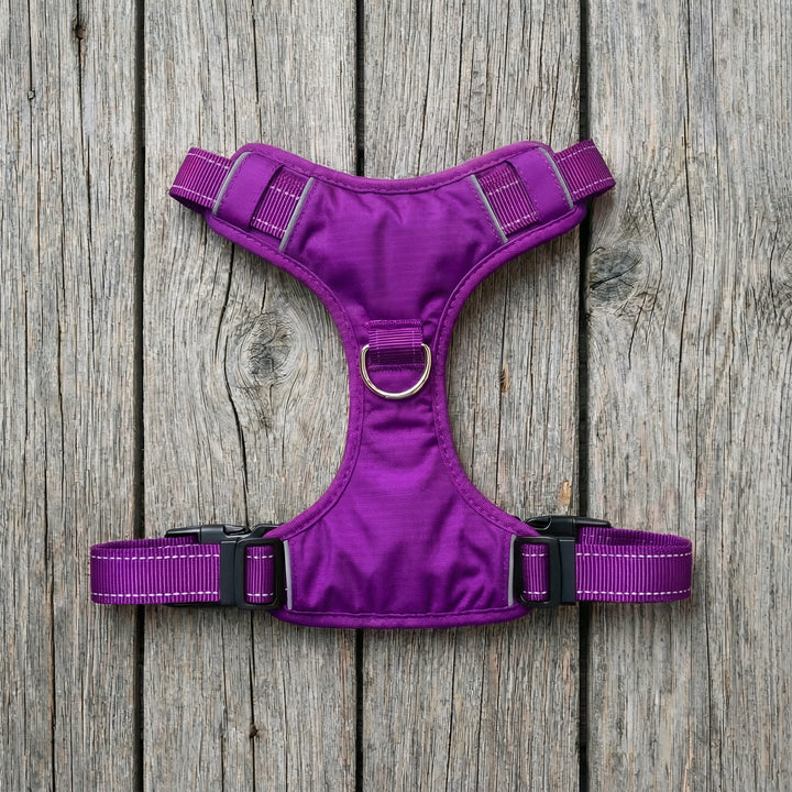 Chesapeake Bay Dog Harness