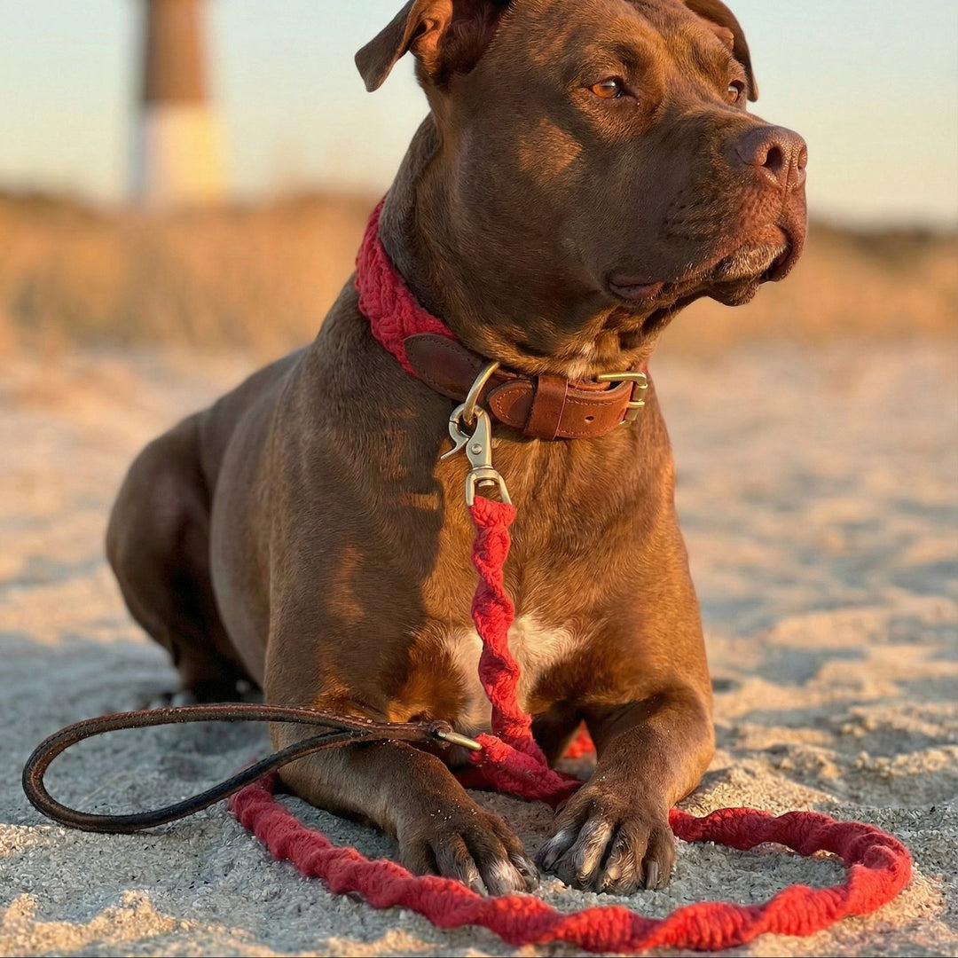 Seaside Leash