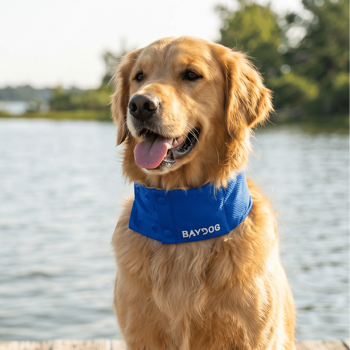 Arctic Bay Cooling Collar