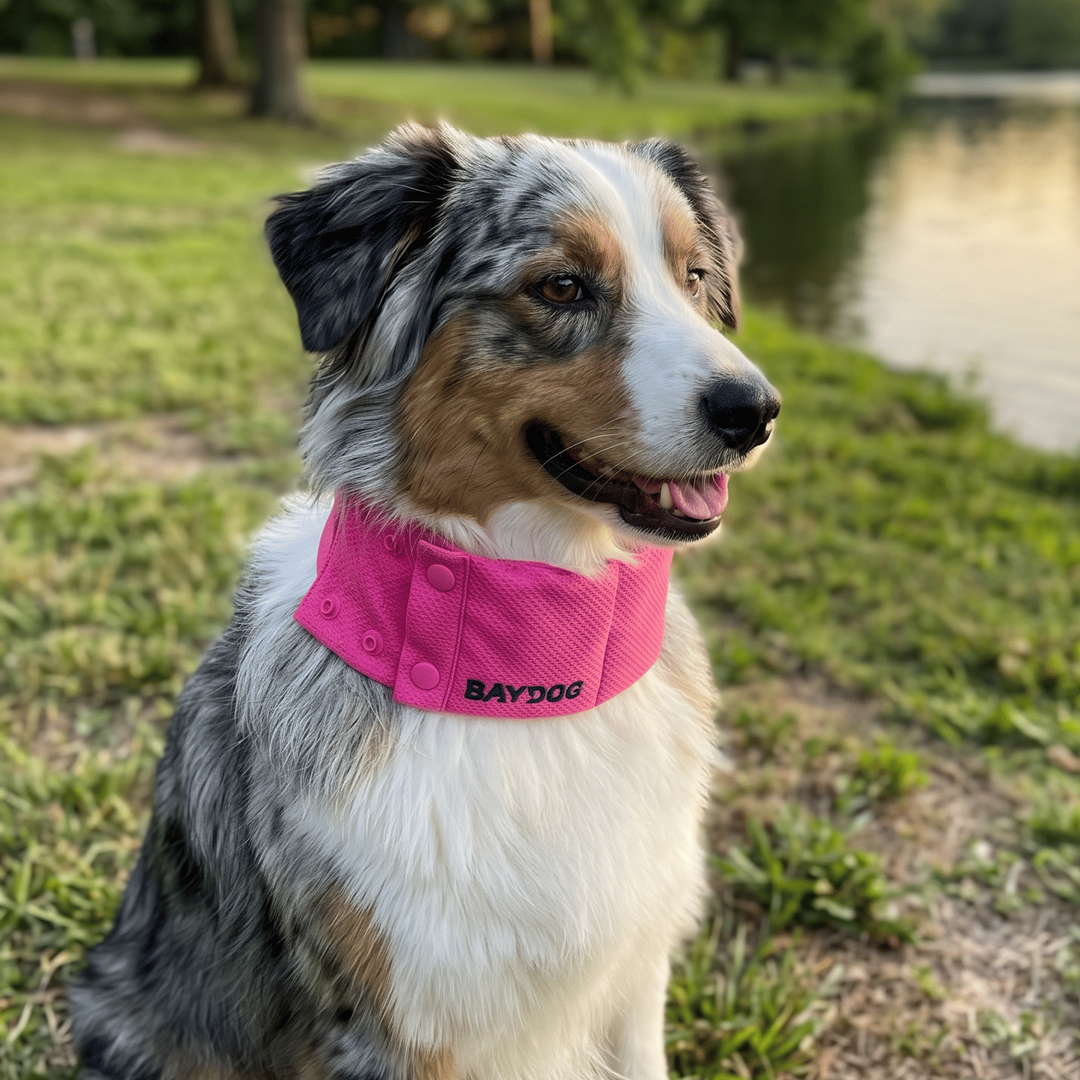 Arctic Bay Cooling Collar