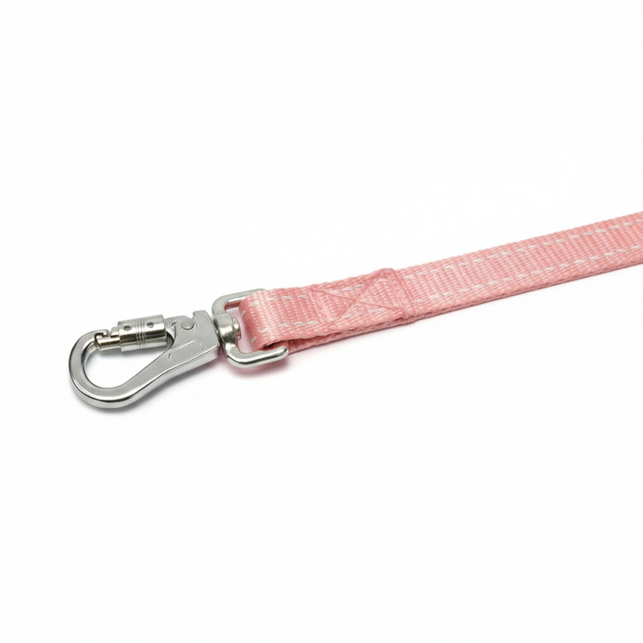 Pensacola Bay Dog Leash