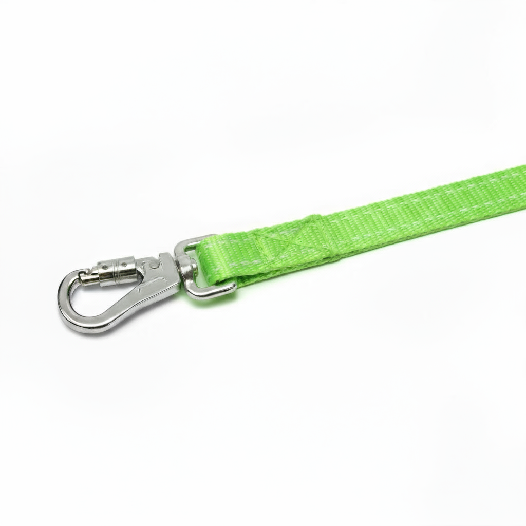 Pensacola Bay Dog Leash