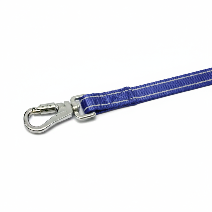 Pensacola Bay Dog Leash