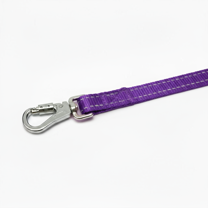 Hudson Bay Dog Leash