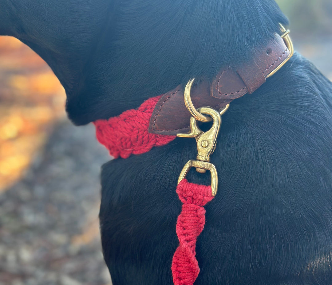 Seaside Leash