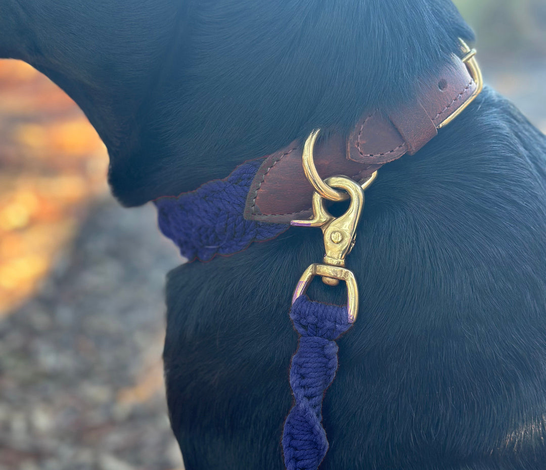 Seaside Leash