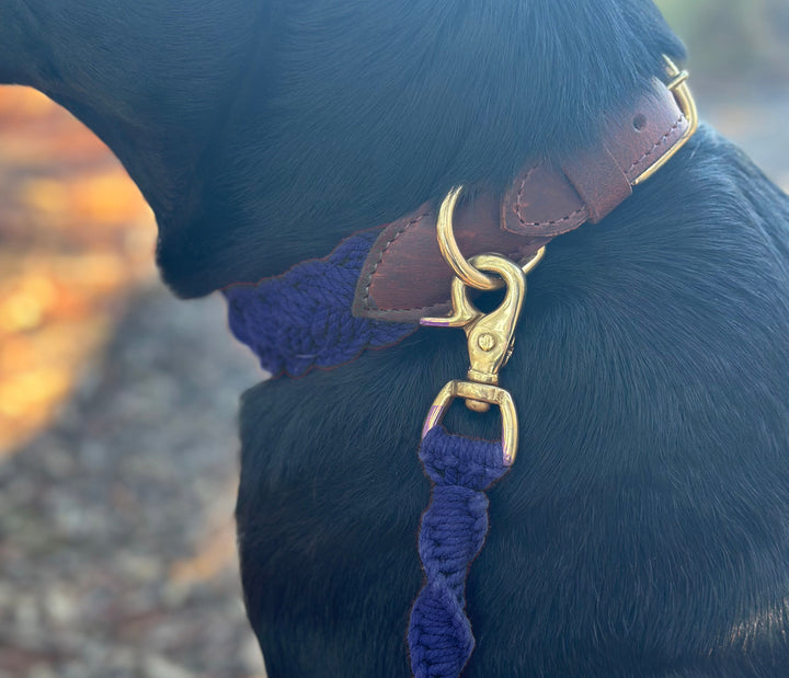Seaside Leash